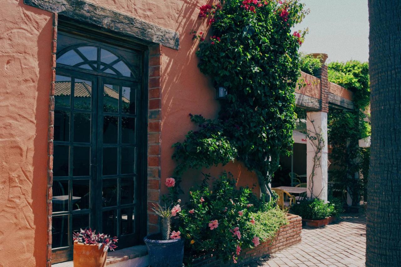 Hotel Madreselva - Grupo Califa Los Canos De Meca Dış mekan fotoğraf